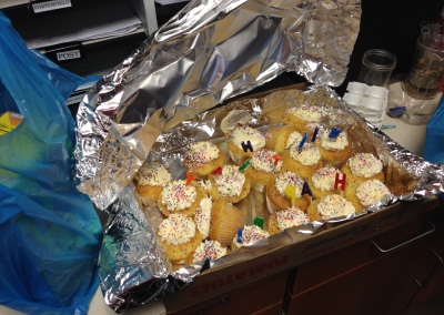 Cupcakes